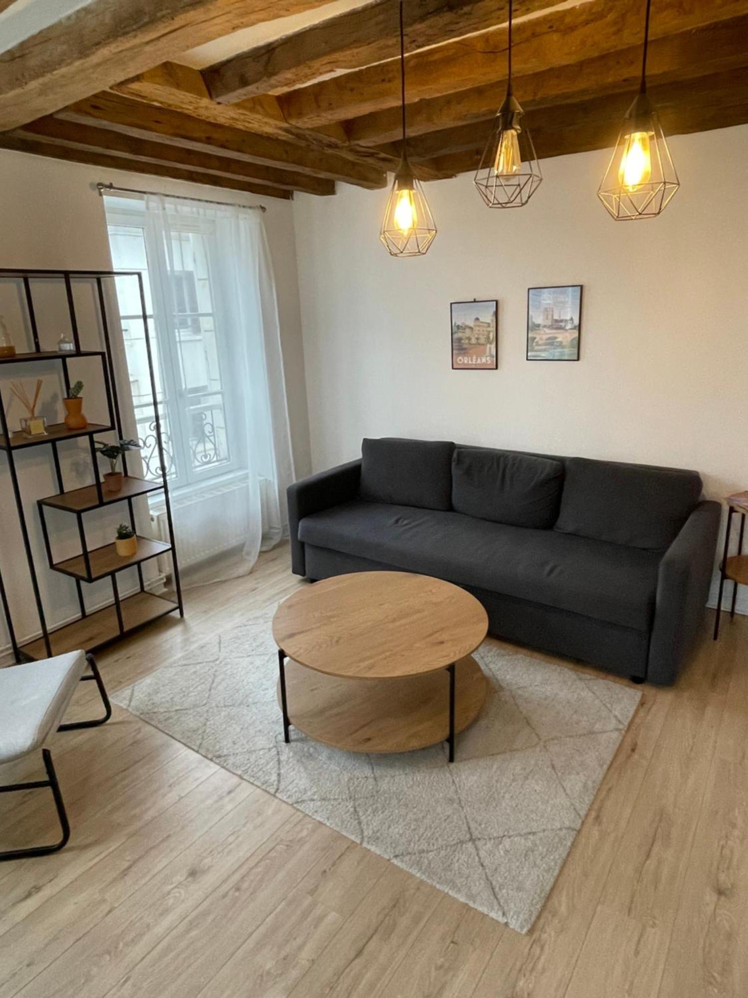 Charmant Appartement Orleans ! Bagian luar foto